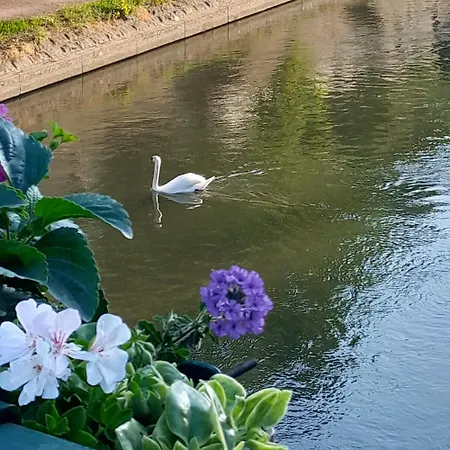 Hotel Mercure Centre 4*