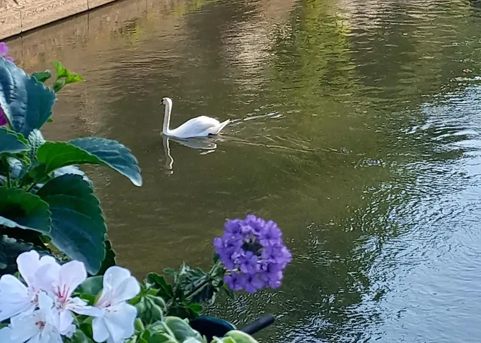 Hotel Mercure Centre 4*